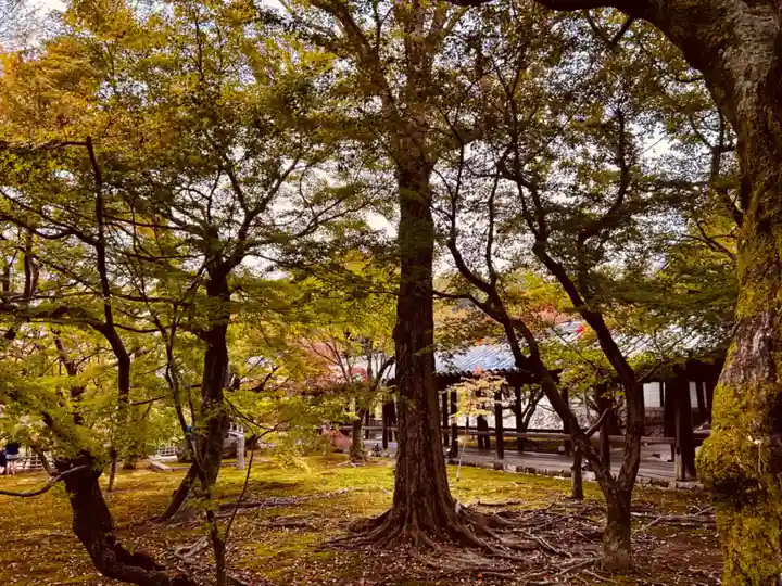 東福禅寺(東福寺)(京都府)