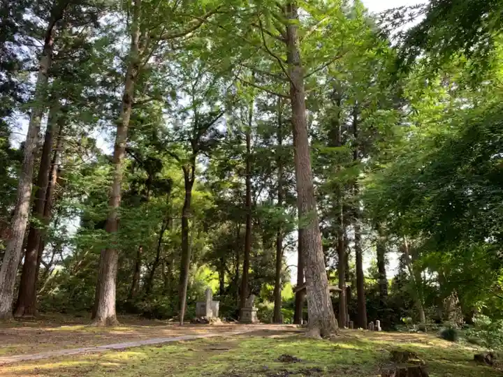前玉神社の自然