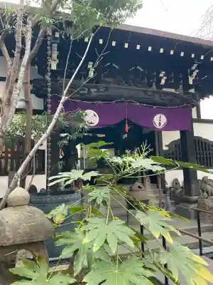 法真寺の{uncategorized: "未分類", other: "その他", undefined: "問題あり", building: "その他建物", grave: "お墓", sacred_gate: "鳥居", guardian: "狛犬", statue: "像", buddha: "仏像", history: "歴史", nature: "自然", garden: "庭園", animal: "動物", pagoda: "塔", temizu: "手水舎", mountain_gate: "山門・神門", sanctuary: "本殿・本堂", subordinate: "末社・摂社", art: "芸術", scenery: "景色", jizo: "地蔵", ema: "絵馬", goshuin: "御朱印", omikuji: "おみくじ", items: "授与品その他", amulet: "お守り", goshuincho: "御朱印帳", eats: "食事", festival: "お祭り", votive_dance: "神楽", shichigosan: "七五三参", wedding: "結婚式", experience: "体験その他", initially: "初詣", around: "周辺", anti_infection: "感染症対策"}