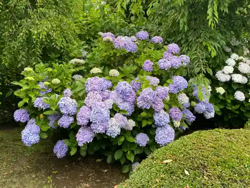 長明寺の庭園