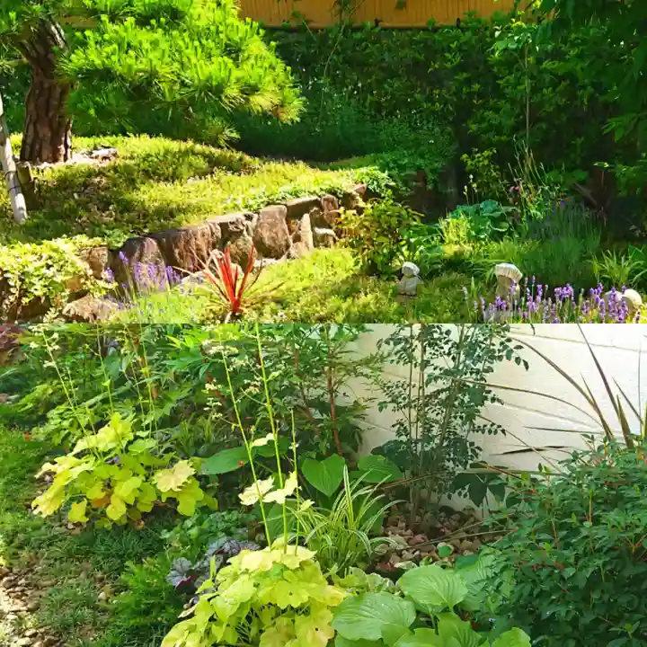 寿量山 速成寺の自然