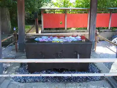 前玉神社の手水舎