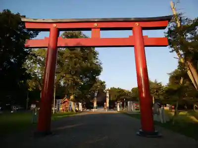 北海道護國神社の鳥居