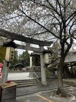 盛岡八幡宮の鳥居