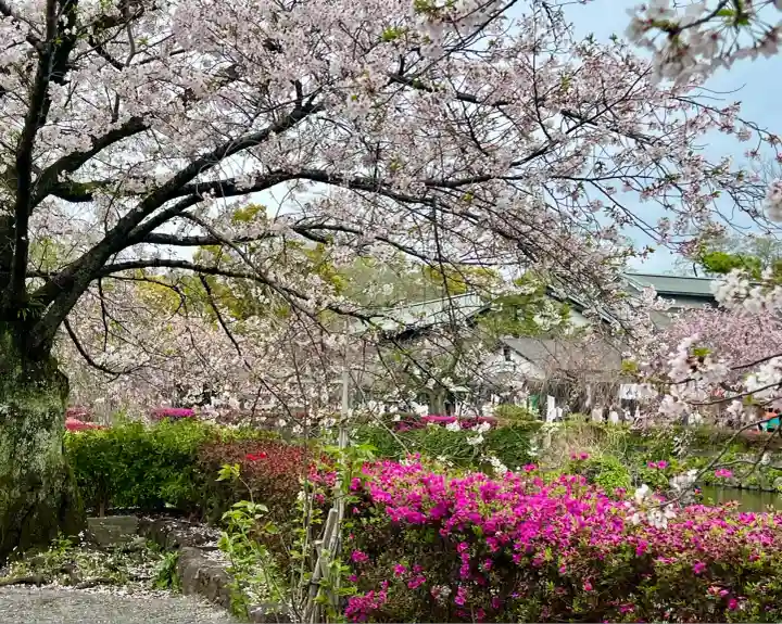 三嶋大社(静岡県)