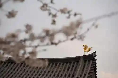 平等院(京都府)