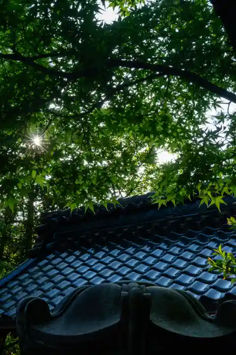 金澤神社(石川県)
