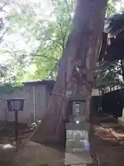 稲荷神社(東京都)