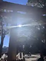 明治神宮の鳥居