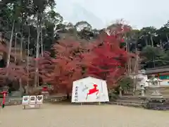 大原野神社(京都府)