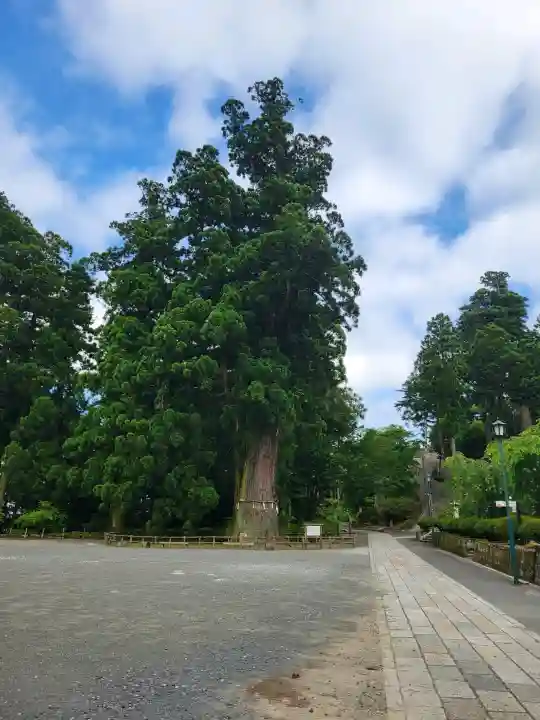 清澄寺(千葉県)