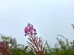 飯縄神社 奥社(長野県)