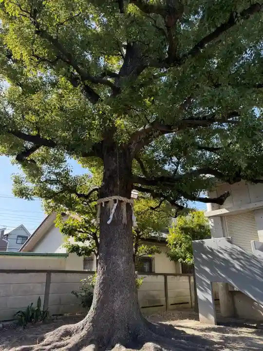 大島八幡神社の{uncategorized: "未分類", other: "その他", undefined: "問題あり", building: "その他建物", grave: "お墓", sacred_gate: "鳥居", guardian: "狛犬", statue: "像", buddha: "仏像", history: "歴史", nature: "自然", garden: "庭園", animal: "動物", pagoda: "塔", temizu: "手水舎", mountain_gate: "山門・神門", sanctuary: "本殿・本堂", subordinate: "末社・摂社", art: "芸術", scenery: "景色", jizo: "地蔵", ema: "絵馬", goshuin: "御朱印", omikuji: "おみくじ", items: "授与品その他", amulet: "お守り", goshuincho: "御朱印帳", eats: "食事", festival: "お祭り", votive_dance: "神楽", shichigosan: "七五三参", wedding: "結婚式", experience: "体験その他", initially: "初詣", around: "周辺", anti_infection: "感染症対策"}