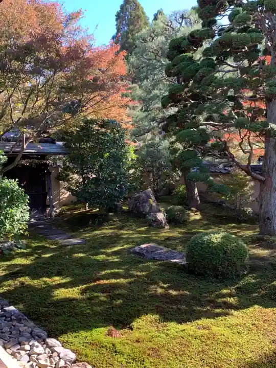 東福禅寺(東福寺)(京都府)
