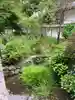 放光寺の庭園
