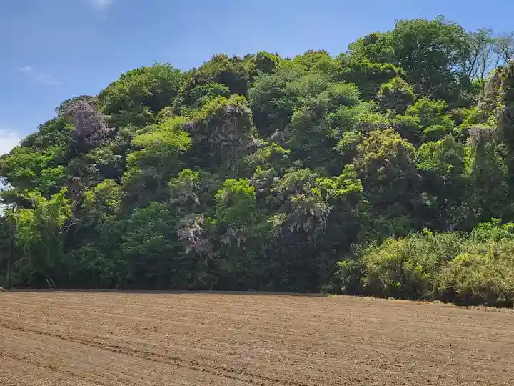 龍泉寺(稲岡観音堂)(栃木県)