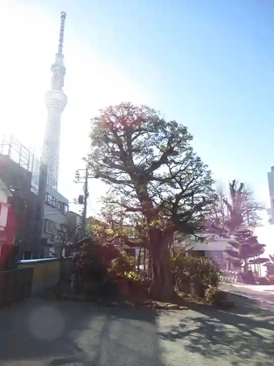 圓通寺(東京都)