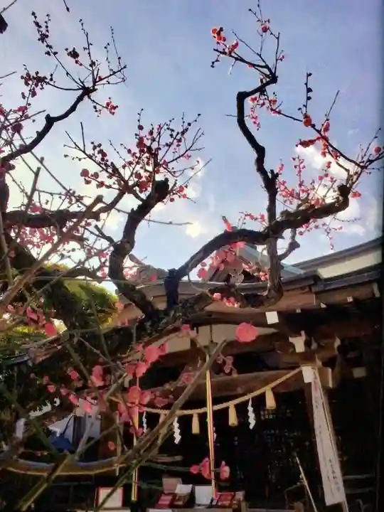鳩森八幡神社(東京都)