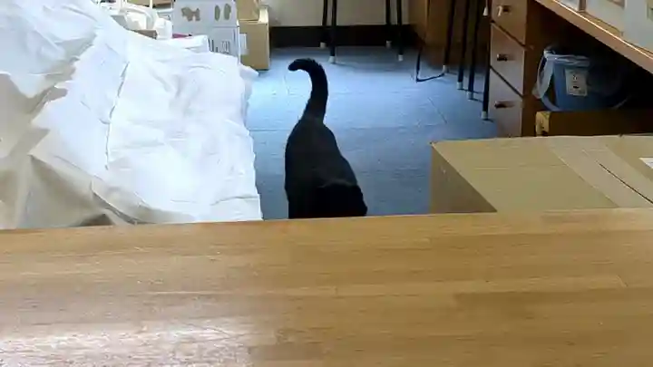 相内神社の動物