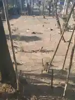 上渋垂諏訪神社(諏訪神社古墳)(栃木県)