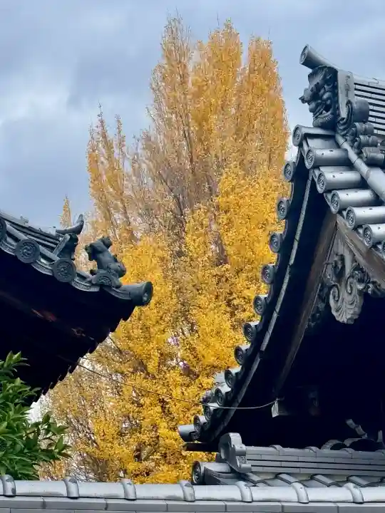 慧光寺(京都府)