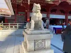 神田神社（神田明神）の狛犬