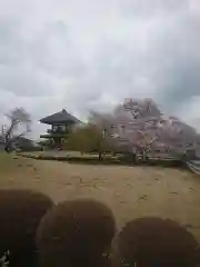 善長寺の自然