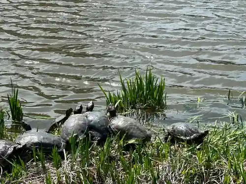 稱名寺(神奈川県)