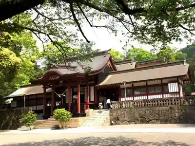 鹿児島神宮の本殿・本堂