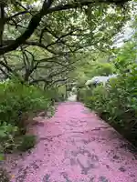 資福寺(宮城県)