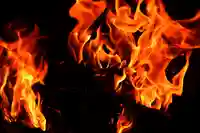 くまくま神社(導きの社 熊野町熊野神社)のお祭り