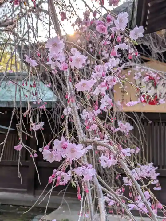大宮八幡宮(東京都)