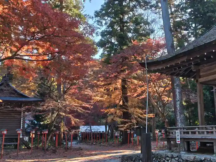 日吉大社(滋賀県)