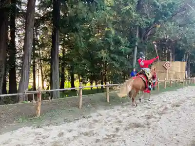 出雲伊波比神社(埼玉県)