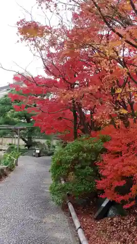 筥崎宮の庭園