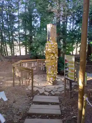 下野 星宮神社(栃木県)