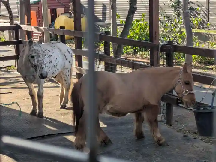 五方山熊野神社(東京都)