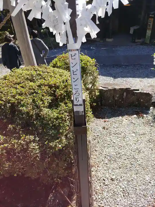 高椅神社(岐阜県)