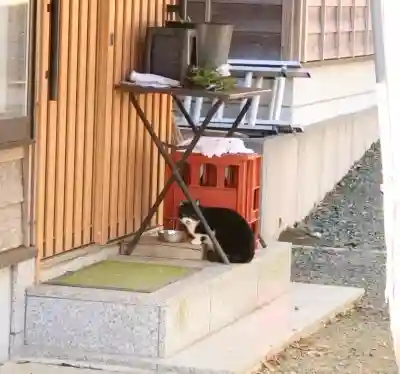 佐波波地祇神社(茨城県)