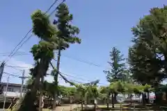 鳥海神社の自然