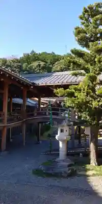 西教寺の本殿・本堂