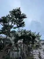 須左男神社(兵庫県)