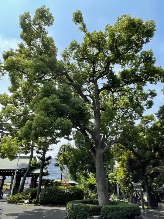 六郷神社の自然