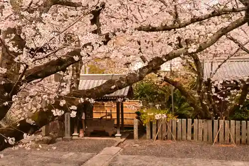 久妙寺(愛媛県)