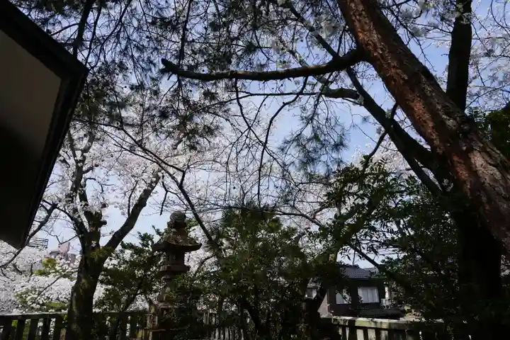 宇多須神社(石川県)