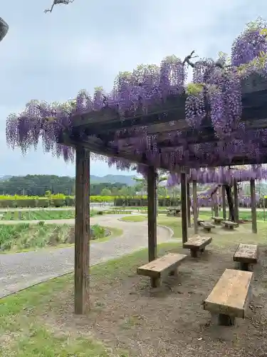 賀茂神社の{uncategorized: "未分類", other: "その他", undefined: "問題あり", building: "その他建物", grave: "お墓", sacred_gate: "鳥居", guardian: "狛犬", statue: "像", buddha: "仏像", history: "歴史", nature: "自然", garden: "庭園", animal: "動物", pagoda: "塔", temizu: "手水舎", mountain_gate: "山門・神門", sanctuary: "本殿・本堂", subordinate: "末社・摂社", art: "芸術", scenery: "景色", jizo: "地蔵", ema: "絵馬", goshuin: "御朱印", omikuji: "おみくじ", items: "授与品その他", amulet: "お守り", goshuincho: "御朱印帳", eats: "食事", festival: "お祭り", votive_dance: "神楽", shichigosan: "七五三参", wedding: "結婚式", experience: "体験その他", initially: "初詣", around: "周辺", anti_infection: "感染症対策"}