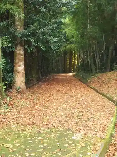 大跡部神社の建物その他