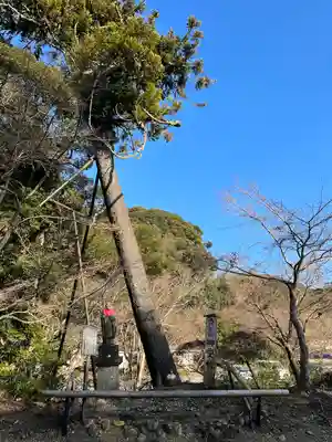 目の霊山 油山寺(静岡県)