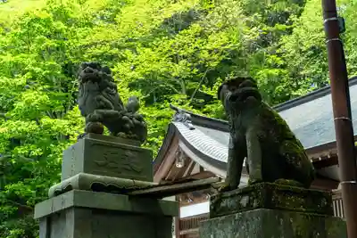 戸隠神社中社(長野県)