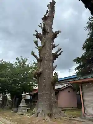 清水八幡神社(千葉県)